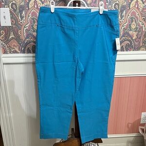 NWT Cato Vibrant Blue Cropped Pants